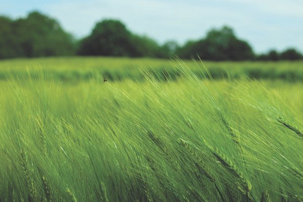 Klimaschutzpreis: Herausragende Klimaschutz-Initiativen gesucht Klimaschutzpreis: Herausragende Klimaschutz-Initiativen gesucht
