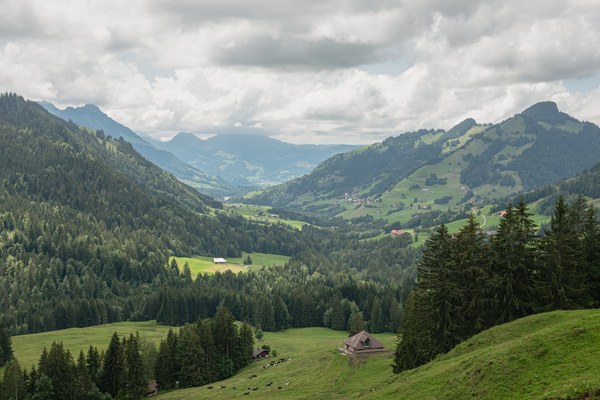 Kürzungspaket 2027 mit grossen negativen Folgen für Umwelt und Berggebiete Kürzungspaket 2027 mit grossen negativen Folgen für Umwelt und Berggebiete