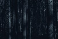 Kurzgeschichte: Im Wald