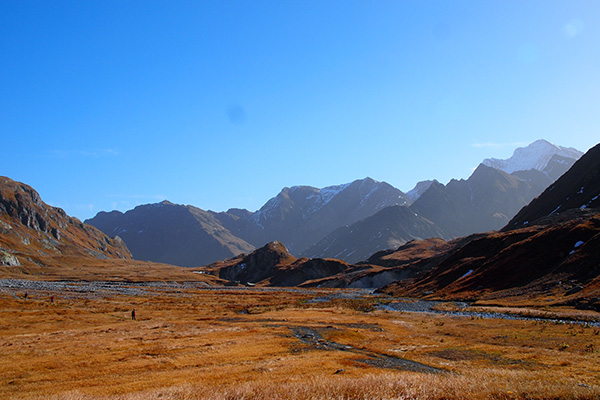 Nationalpark Adula: Geburt mit Komplikationen Nationalpark Adula: Geburt mit Komplikationen
