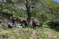 Naturvielfalt durch Steine