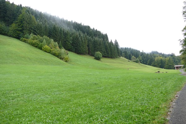 Staatlich geförderter Wachstumswahn bei Bayerns Seilbahnen und das Beispiel Grünten/Allgäu Staatlich geförderter Wachstumswahn bei Bayerns Seilbahnen und das Beispiel Grünten/Allgäu