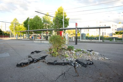 Um die Wette entsiegeln