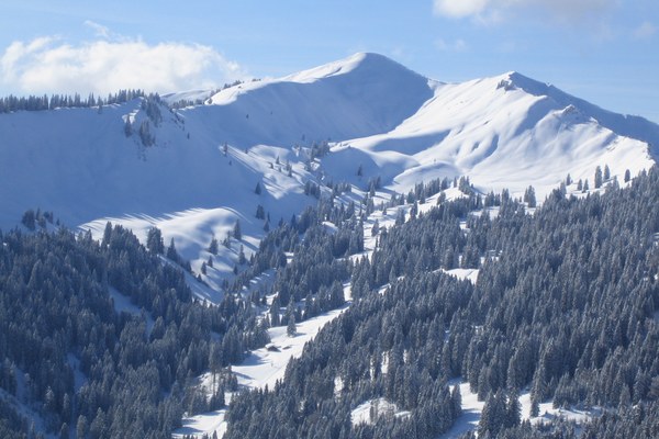 Unverantwortlich: Änderung des Alpenplans beschlossen ! Unverantwortlich: Änderung des Alpenplans beschlossen !