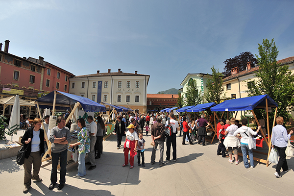 Wenn Stadtmäuse auf Landmäuse treffen: Vereint sind wir stark Wenn Stadtmäuse auf Landmäuse treffen: Vereint sind wir stark