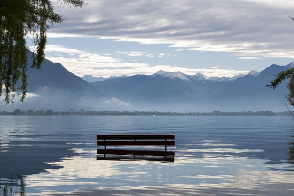 Wie gesund sind die Alpen noch? Wie gesund sind die Alpen noch?