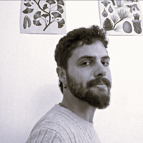 Nicola Miceli