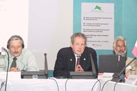 Deutscher Vorsitz der Alpenkonferenz: Arbeitsprogramm 2003 bis 2004