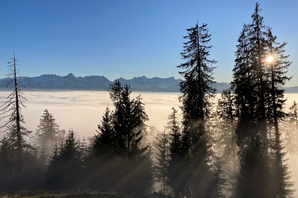 Internationaler Tag der Berge 2019 Internationaler Tag der Berge 2019