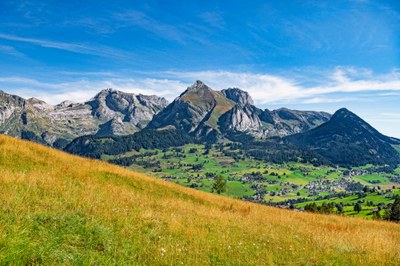 Camps und Veranstaltungen