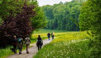 Waldbesuche im Fokus