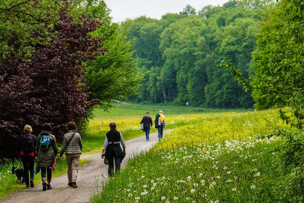 Waldbesuche im Fokus Waldbesuche im Fokus