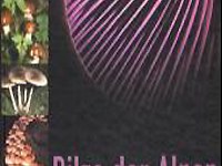 Pilze der Alpen