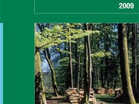 Wald und Holz