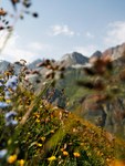 Biodiversity needs bold policy and stringent implementation
