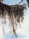Project launch: Study of persistent organic pollutants in the Alps