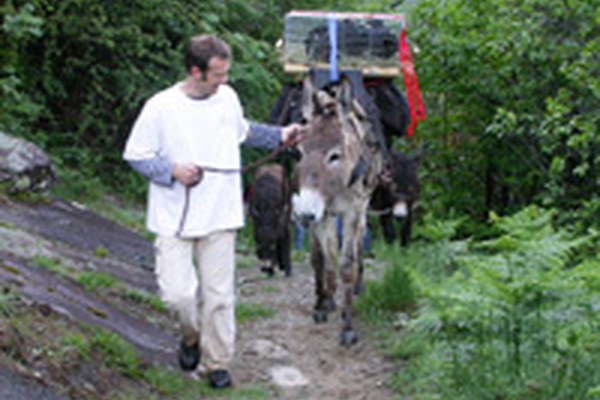 Preserving traditional crops and livestock breeds Preserving traditional crops and livestock breeds