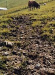 International conference on erosion and related problems