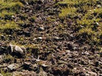 International conference on erosion and related problems