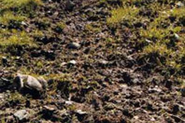 International conference on erosion and related problems International conference on erosion and related problems
