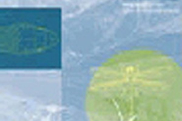 New publications show: biodiversity still on the wane New publications show: biodiversity still on the wane