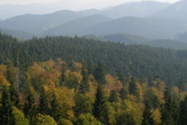 Carpathian Convention now in force Carpathian Convention now in force