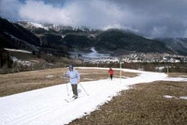 Skiers: a species on the verge of extinction? Skiers: a species on the verge of extinction?