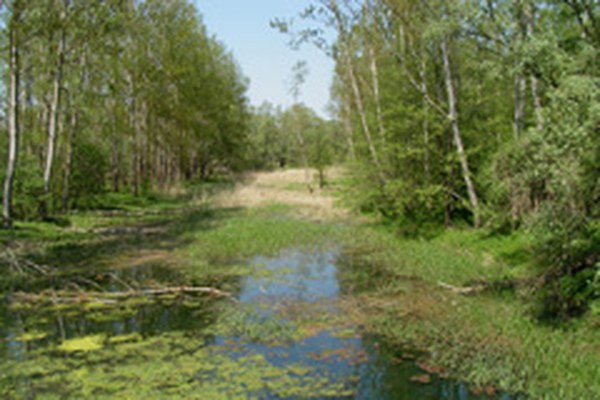 Slovenia: plans for a series of hydraulic power plants Slovenia: plans for a series of hydraulic power plants