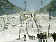 Ski runs a hazard for bird communities