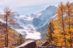 Biological diversity as an investment - Protected areas give the Alps a good image and help man and nature Biological diversity as an investment - Protected areas give the Alps a good image and help man and nature
