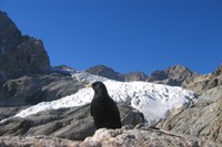 Alpweek 2008 - Innovating [in] the Alps