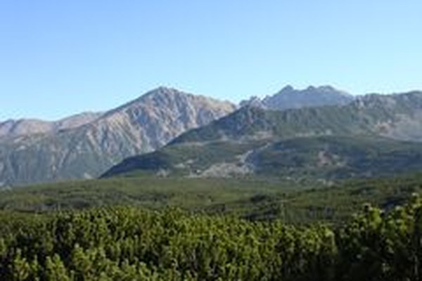 Protected areas in the EU lacking in quality Protected areas in the EU lacking in quality