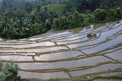 A scientific insight into mountain regions and cultures worldwide A scientific insight into mountain regions and cultures worldwide