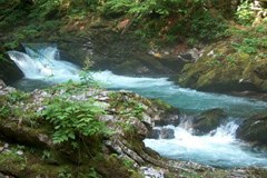 II. Report on the State of the Alps feels the pulse of the Alpine watercourses