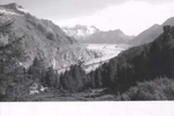 eco.mont - new journal for research in protected areas eco.mont - new journal for research in protected areas