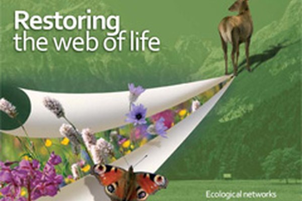 Restoring the web of life: a new brochure designed to help you understand ecological networks Restoring the web of life: a new brochure designed to help you understand ecological networks