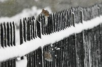 ECONNECT photo contest: clicks beyond borders
