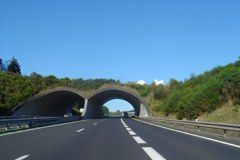 Linking-up the German roads for animals and for a better traffic safety Linking-up the German roads for animals and for a better traffic safety