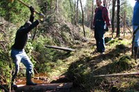 Fen felling