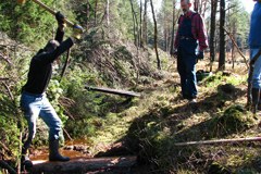 Fen felling Fen felling