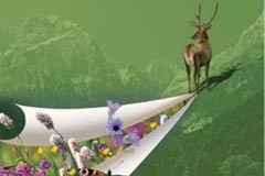New publications for networking natural environments in the Alps New publications for networking natural environments in the Alps