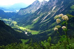 Changing forests Changing forests