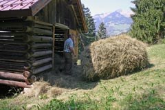 Common Agricultural Policy for the Alps Common Agricultural Policy for the Alps