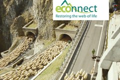 Documentation on ECONNECT results now available Documentation on ECONNECT results now available