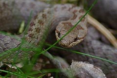 Financial boost to Bavaria's Ecological Network Financial boost to Bavaria's Ecological Network