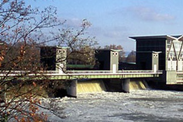 Salmon coming to the Rhine Salmon coming to the Rhine