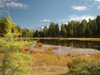 Bogs – a way out of the climate swamp