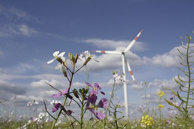 Energy and nature in the Alps: a balancing act