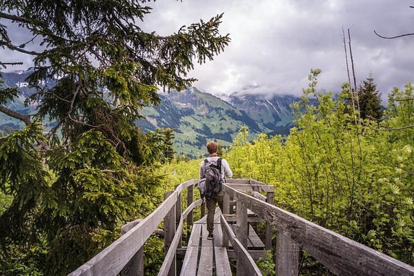 Eusalp without Swiss cantons? Eusalp without Swiss cantons?