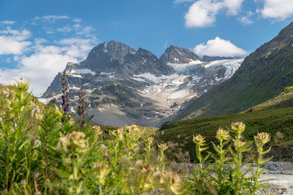 Experience the last of the glaciers Experience the last of the glaciers